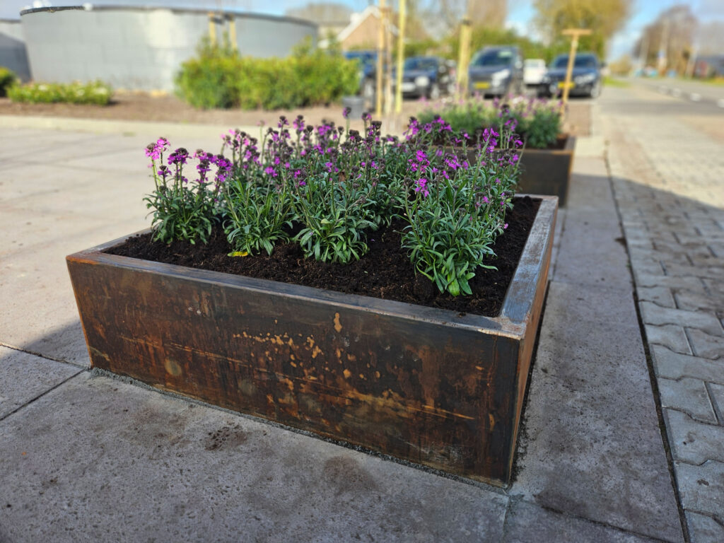 Terreinbeplanting